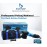 Bluemoon Pro Dual Action Polisher Profesyonel Polisaj Makinesi 780 Watt