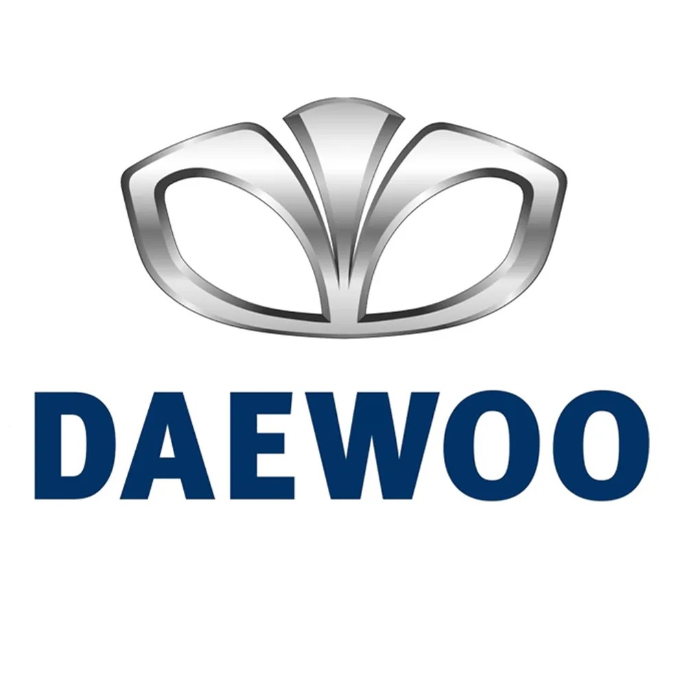 Daewoo - Aracınıza Özel Fırçalı Rötuş Boyası