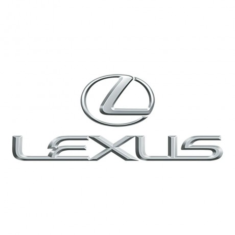 Lexus - Aracınıza Özel Fırçalı Rötuş Boyası