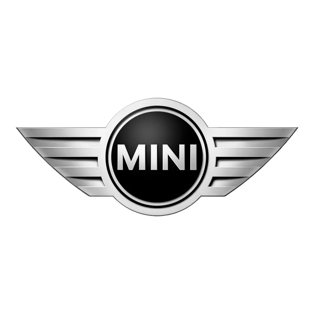 Mini Cooper - Aracınıza Özel Fırçalı Rötuş Boyası