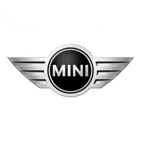 Mini Cooper - Aracınıza Özel Fırçalı Rötuş Boyası